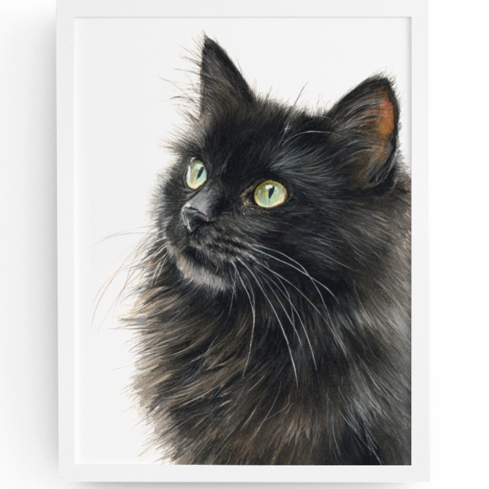 Watercolor Siberian Black Cat Art Print Illustartion - Pet Portrait - Unframed